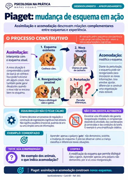 Prévia do material: Piaget: mudança de esquema em ação
